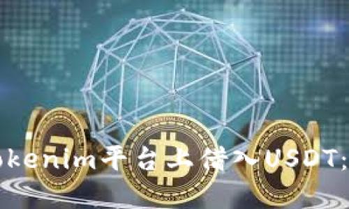 如何在Tokenim平台上借入USDT：全面指南