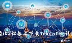 如何在iOS设备上下载TokenIM：详细指南