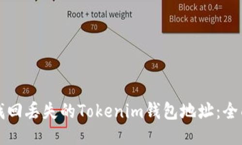 如何找回丢失的Tokenim钱包地址：全面指南