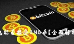 Tokenim钱包能否接受BNB币？全面解析及使用指南