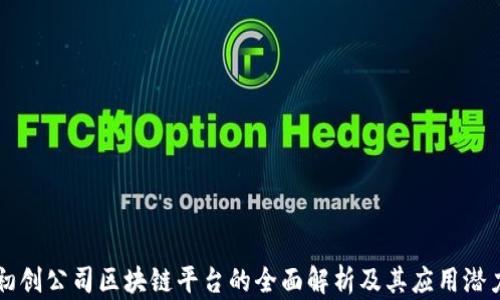 
初创公司区块链平台的全面解析及其应用潜力