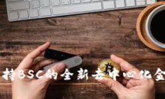 Tokenim：支持BSC的全新去中心化金融平台解析