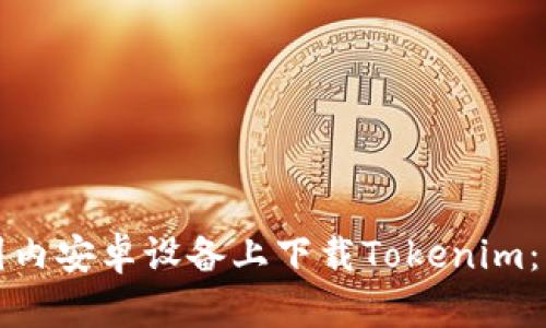 如何在国内安卓设备上下载Tokenim：详细指南