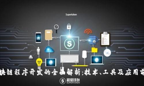 区块链程序开发的全面解析：技术、工具及应用前景