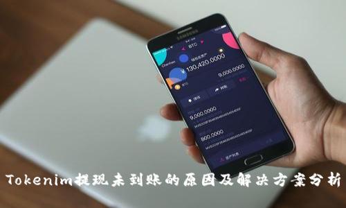 Tokenim提现未到账的原因及解决方案分析