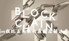 Tokenim提现未到账的原因及解决方案分析